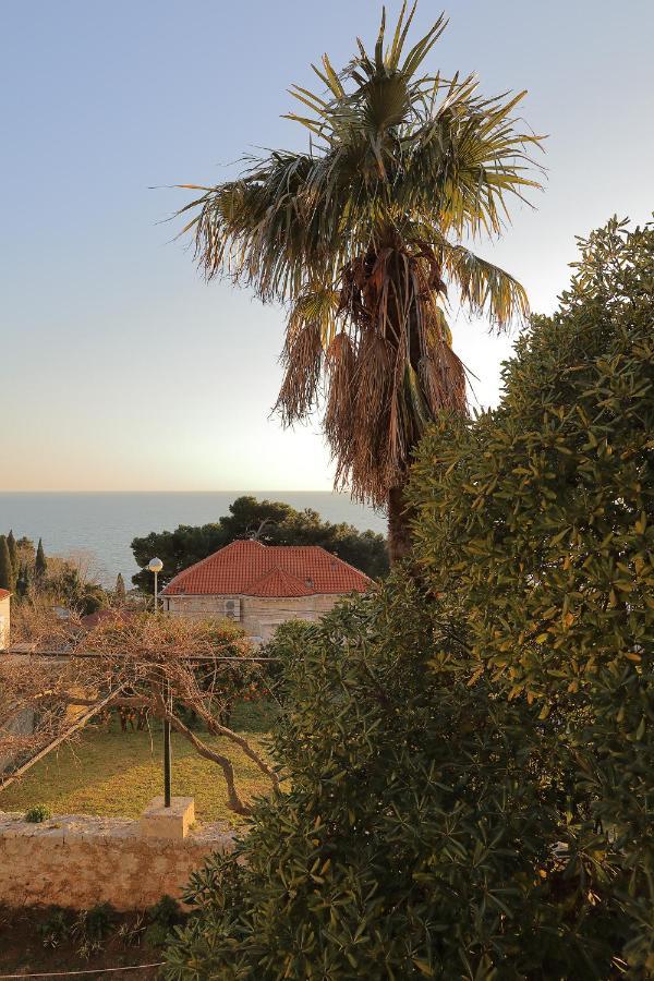 Studio Apartments Kalma Dubrovnik Exterior photo